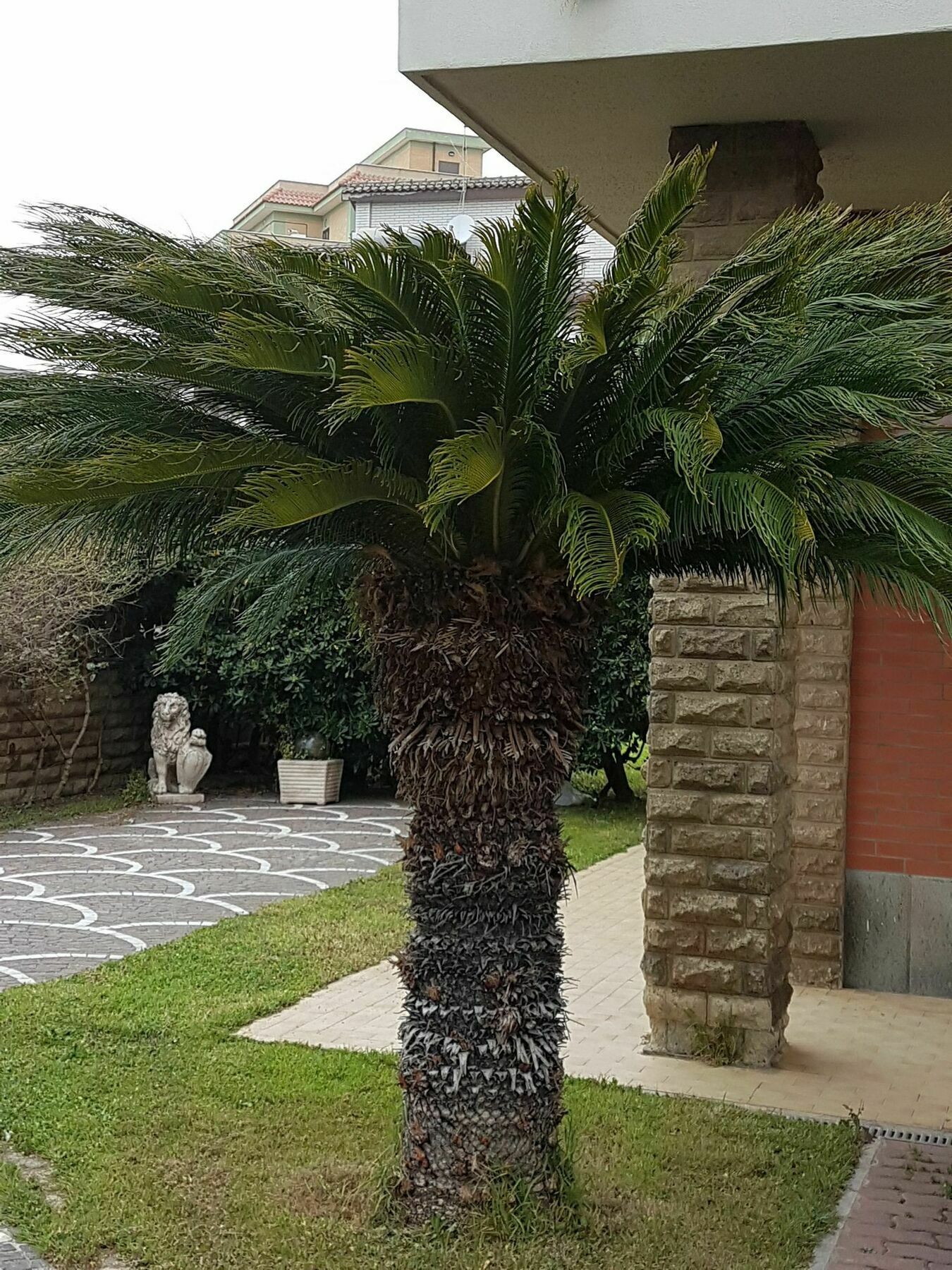 Myricae Rooms Affittacamere No Late Arrival Fiumicino Exterior foto